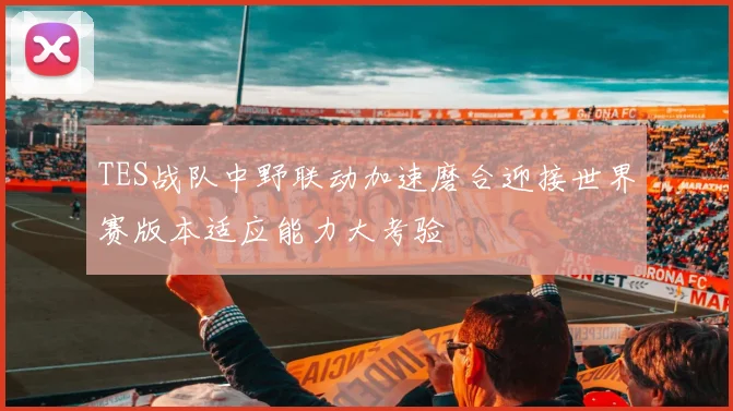 TES战队中野联动加速磨合迎接世界赛版本适应能力大考验