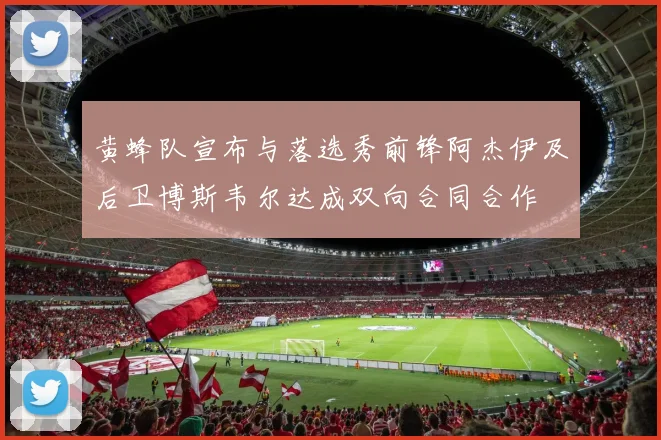 黄蜂队宣布与落选秀前锋阿杰伊及后卫博斯韦尔达成双向合同合作